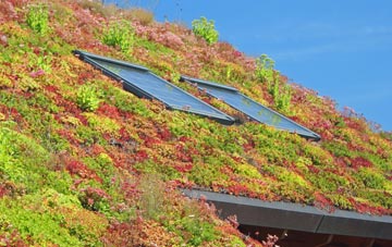 Duntisbourne Leer living roof systems