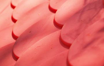 Duntisbourne Leer plastic roof costs